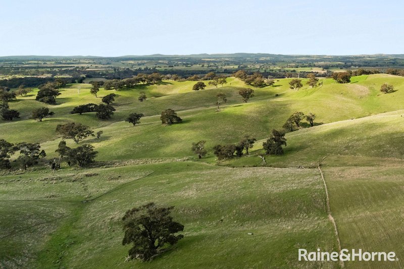 Photo - 679 Dallistons Road, Barfold VIC 3444 - Image 22
