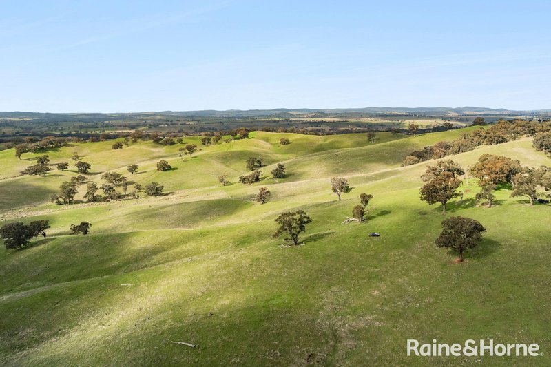 Photo - 679 Dallistons Road, Barfold VIC 3444 - Image 24