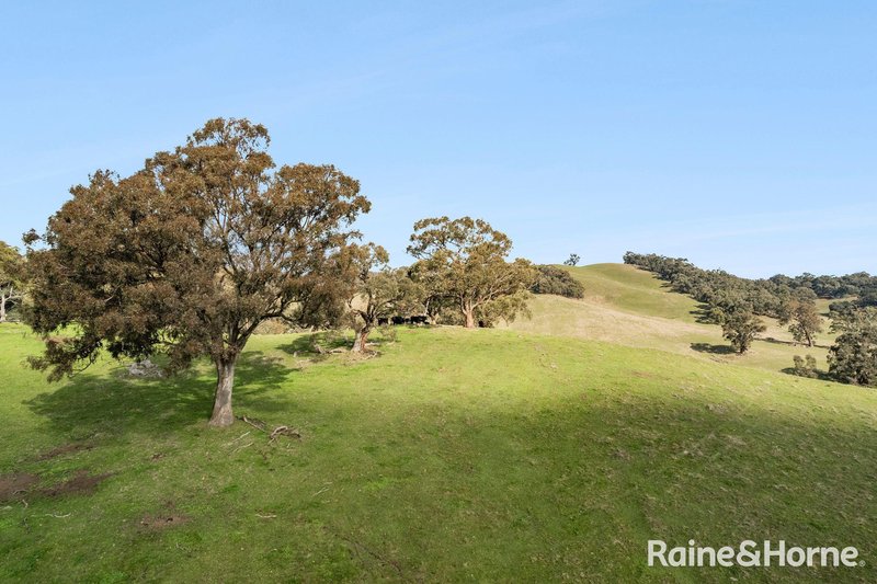 Photo - 679 Dallistons Road, Barfold VIC 3444 - Image 25