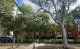 Photo - 6/79 Northbourne Avenue, Turner ACT 2612 - Image 1
