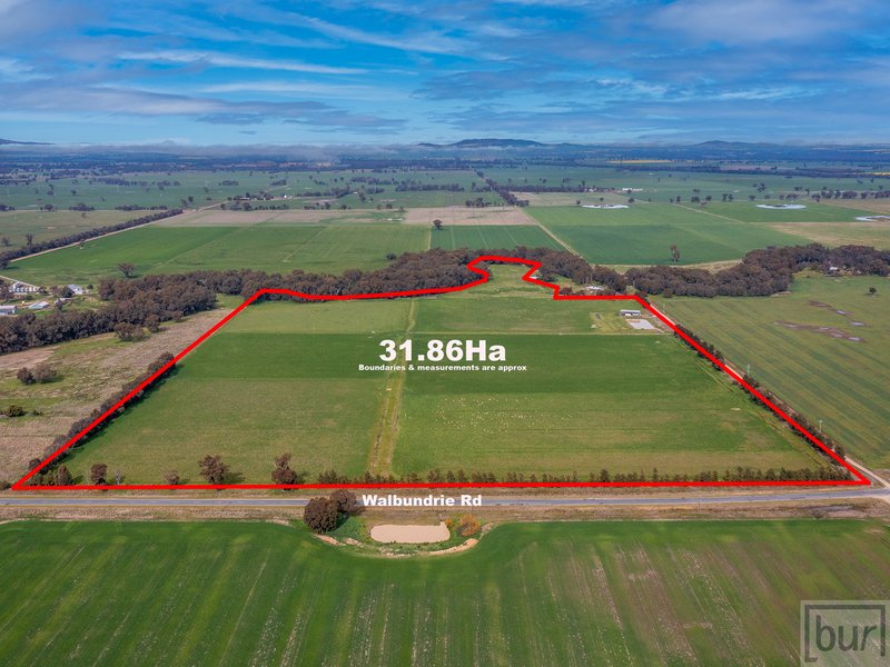 679 Walbundrie Road, Culcairn NSW 2660