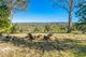 Photo - 67b Browns Road, Kurrajong NSW 2758 - Image 15