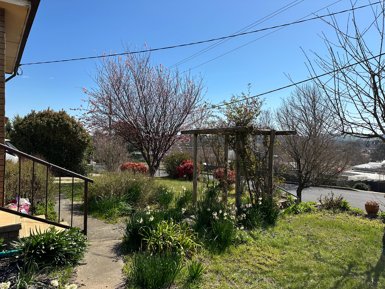 68 CLARA STREET, Tumbarumba NSW 2653 - Image 2