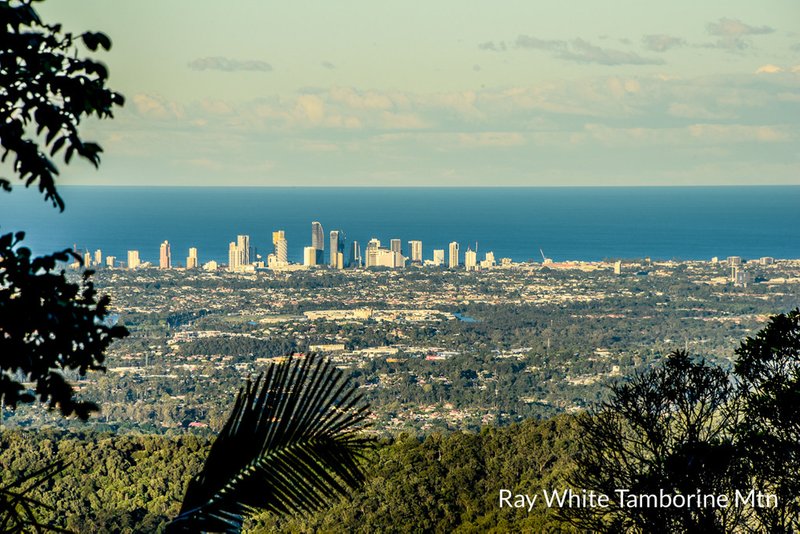 Photo - 68 Coomera Gorge Drive, Tamborine Mountain QLD 4272 - Image 3