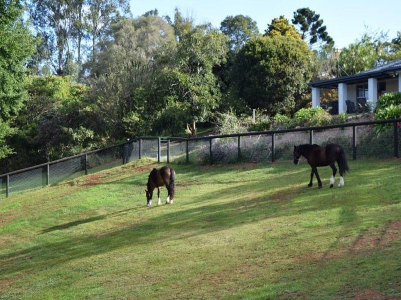 Photo - 68 Flaxton Mill Road, Flaxton QLD 4560 - Image 5