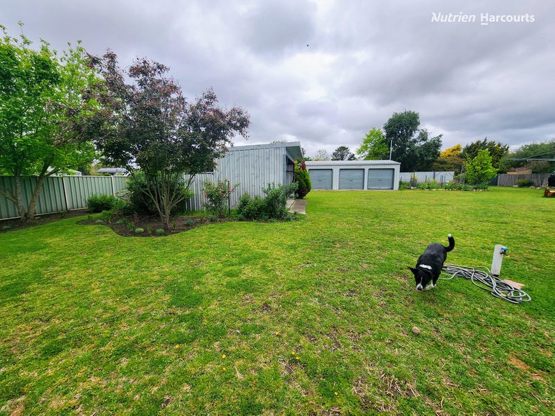 Photo - 68 Forbes Street, Deepwater NSW 2371 - Image 12