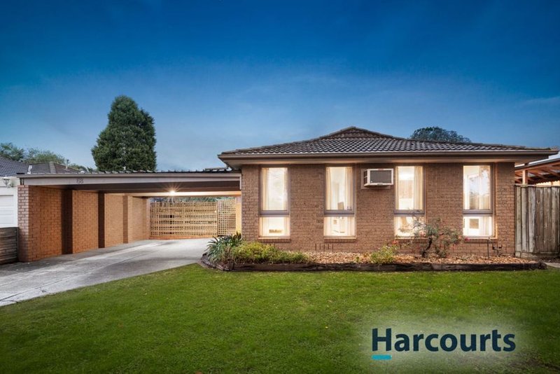 Photo - 68 Harold Street, Wantirna VIC 3152 - Image 5