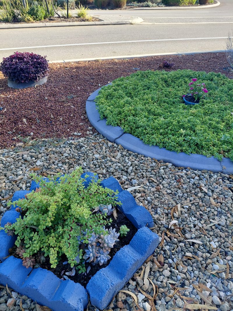 Photo - 68 Impressions Drive, Eglinton WA 6034 - Image 10