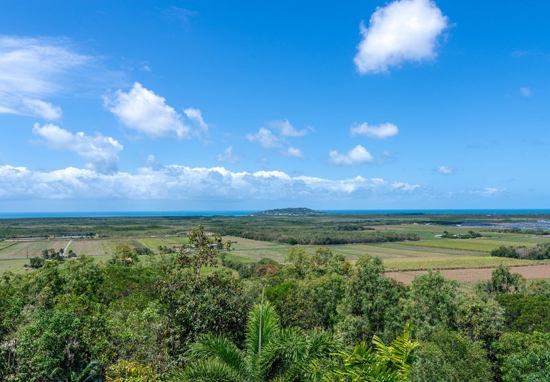 Photo - 68 Ocean View Road Killaloe , Port Douglas QLD 4877 - Image 3