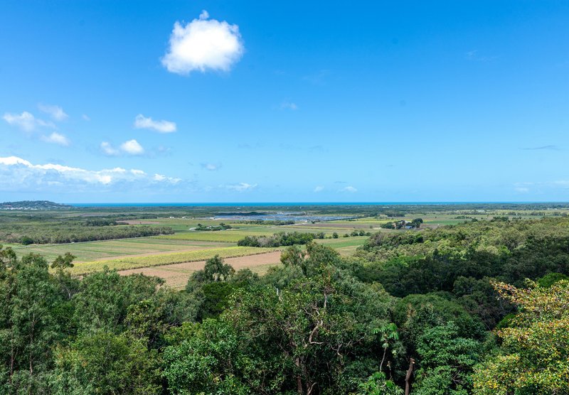 Photo - 68 Ocean View Road Killaloe , Port Douglas QLD 4877 - Image 9