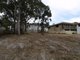 Photo - 68 Sergeant Baker Drive, Corlette NSW 2315 - Image 2