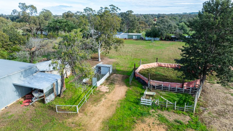 Photo - 68 Thomas Street, Gerogery NSW 2642 - Image 13