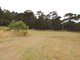 Photo - 68 Warham Road, Denmark WA 6333 - Image 5