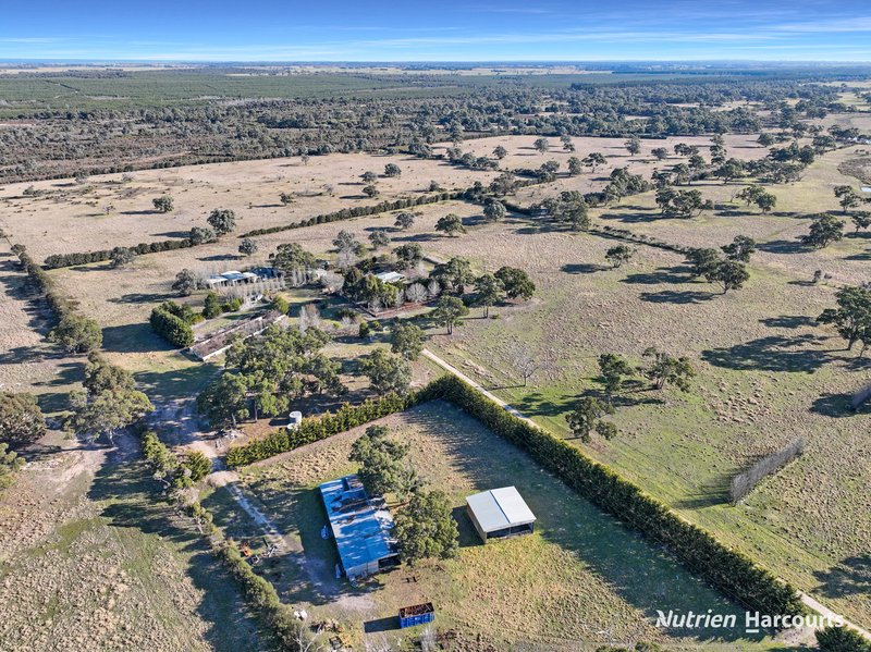 Photo - 680 Hawkins Road, Longford VIC 3851 - Image 6