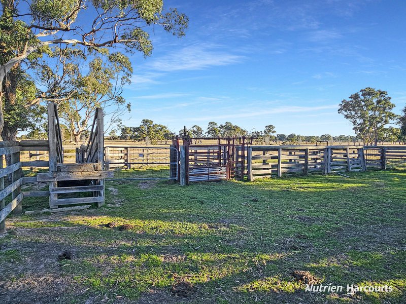 Photo - 680 Hawkins Road, Longford VIC 3851 - Image 18