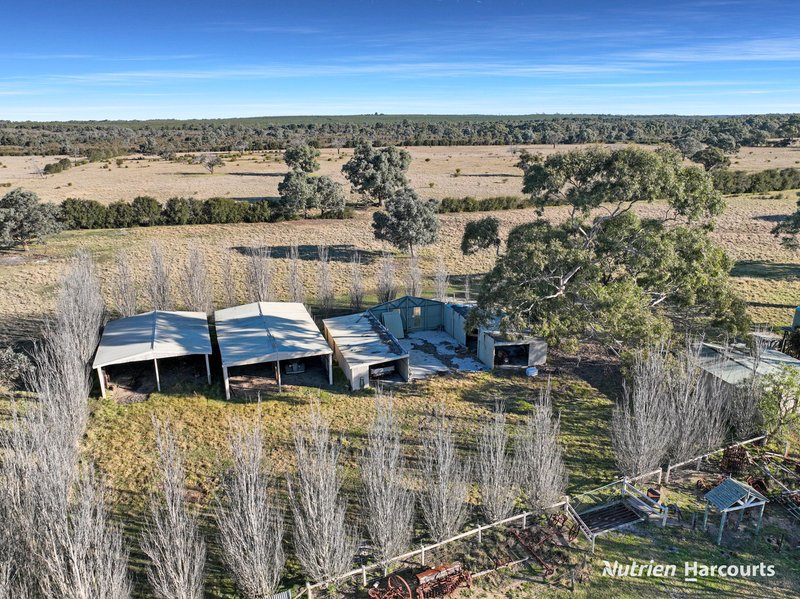 Photo - 680 Hawkins Road, Longford VIC 3851 - Image 28