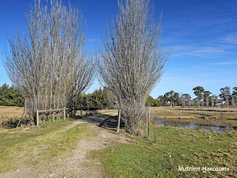 Photo - 680 Hawkins Road, Longford VIC 3851 - Image 34