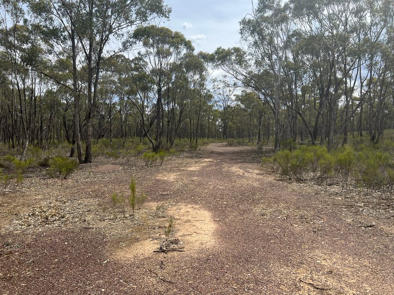 Photo - 680 Willow Road, Murchison VIC 3610 - Image 7