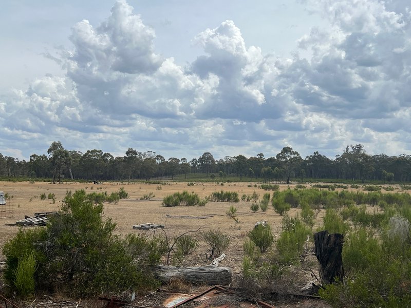 Photo - 680 Willow Road, Murchison VIC 3610 - Image 8