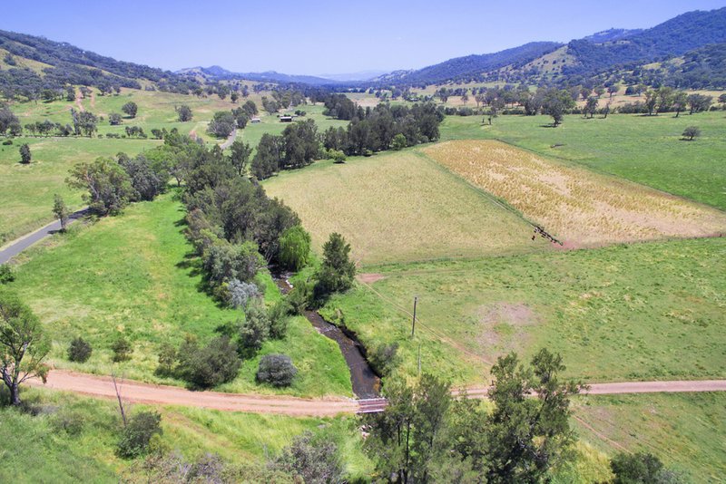 Photo - 681 Duncans Creek Road, Woolomin NSW 2340 - Image 8