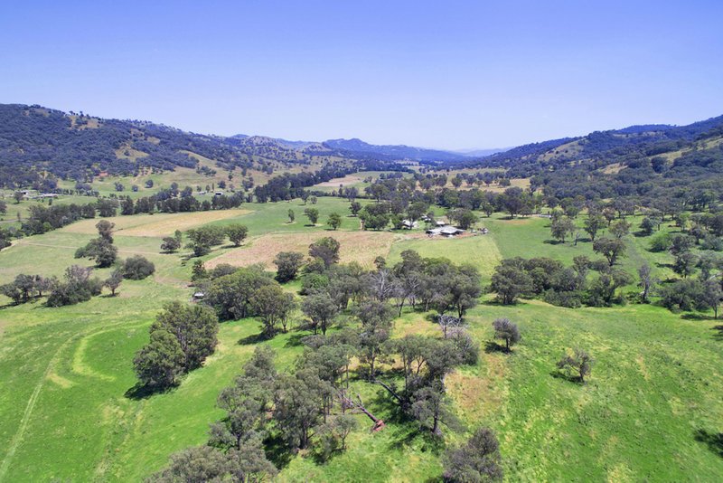 Photo - 681 Duncans Creek Road, Woolomin NSW 2340 - Image 9