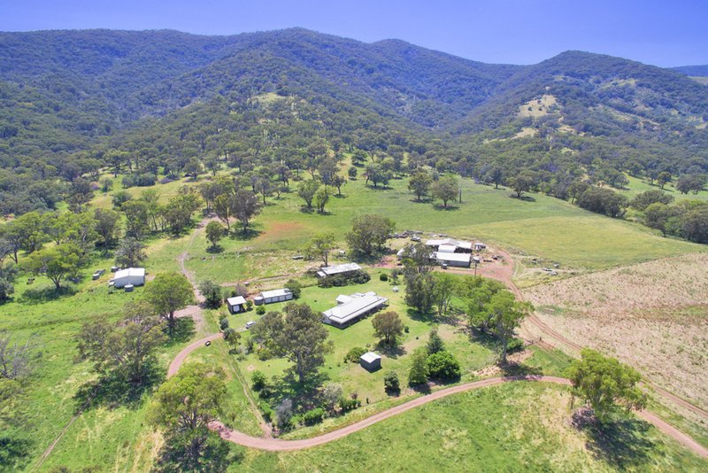 Photo - 681 Duncans Creek Road, Woolomin NSW 2340 - Image 10