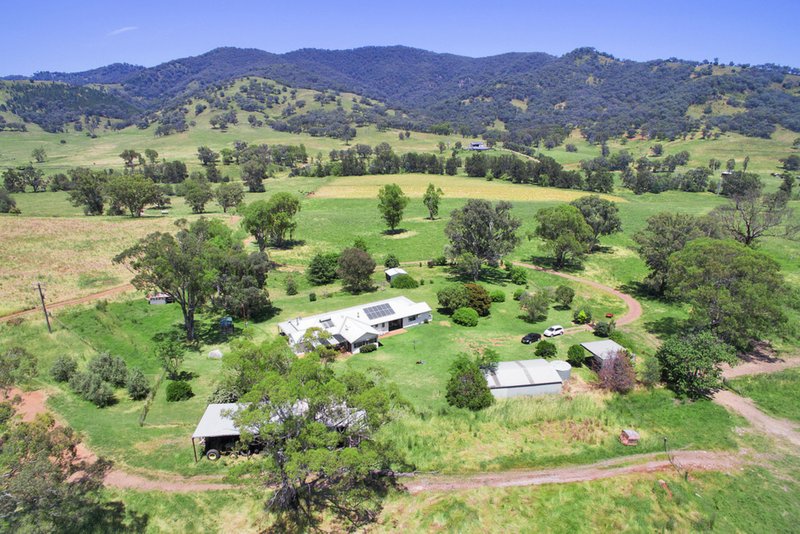 Photo - 681 Duncans Creek Road, Woolomin NSW 2340 - Image 11