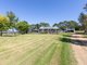 Photo - 684 West Kameruka Road, Candelo NSW 2550 - Image 4