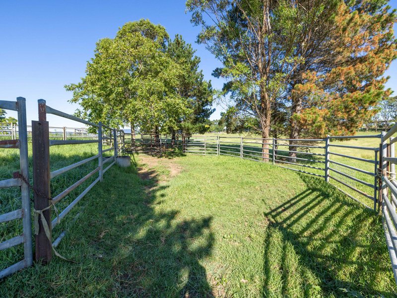 Photo - 684 West Kameruka Road, Candelo NSW 2550 - Image 8