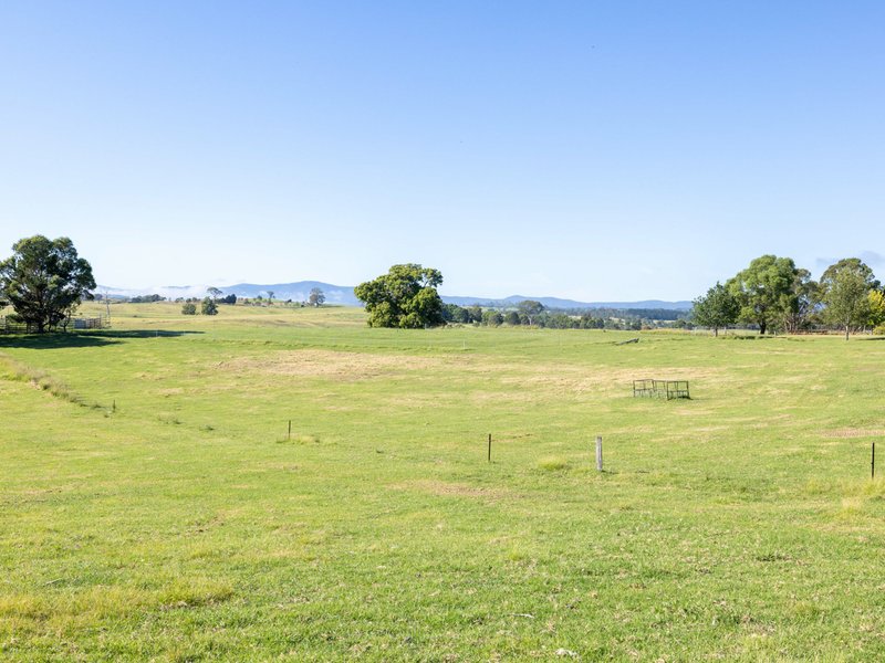 Photo - 684 West Kameruka Road, Candelo NSW 2550 - Image 9