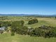 Photo - 684 West Kameruka Road, Candelo NSW 2550 - Image 22