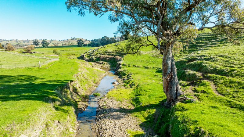 Photo - 685 Talgarno Gap Road, Talgarno VIC 3691 - Image 11