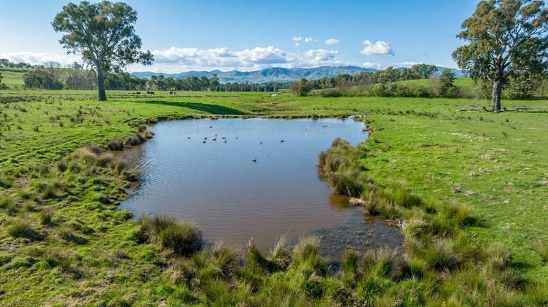 Photo - 685 Talgarno Gap Road, Talgarno VIC 3691 - Image 12