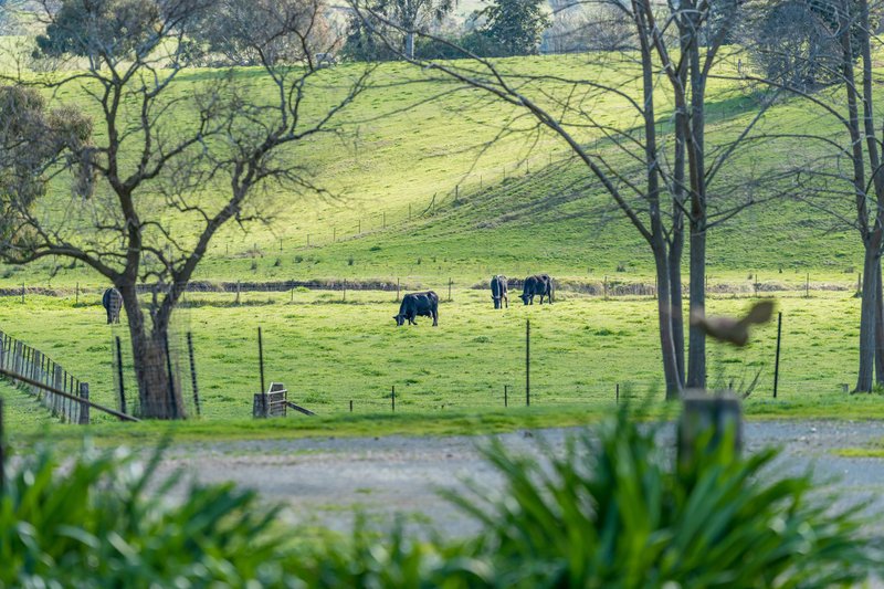 Photo - 685 Talgarno Gap Road, Talgarno VIC 3691 - Image 14