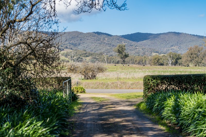 Photo - 685 Talgarno Gap Road, Talgarno VIC 3691 - Image 29