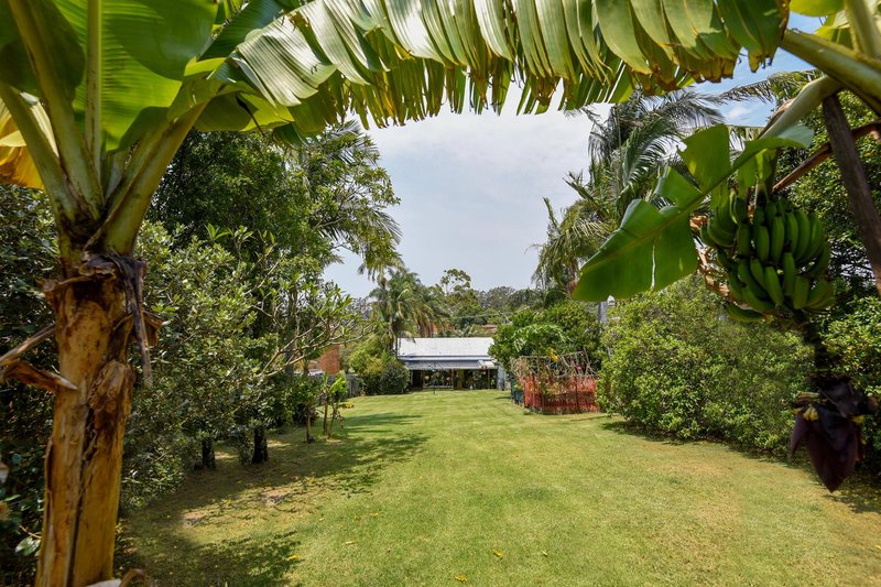 Photo - 69 Azalea Avenue, Coffs Harbour NSW 2450 - Image 12