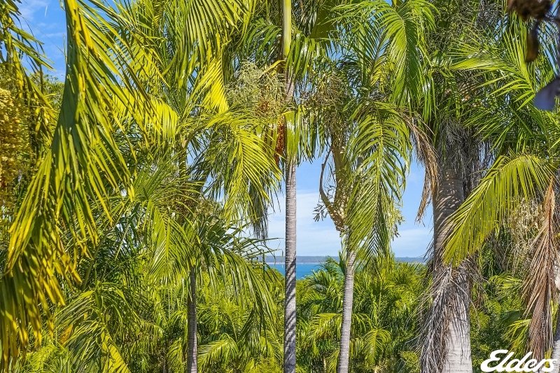 Photo - 6/9 Charlotte Street, Fannie Bay NT 0820 - Image 13