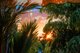 Photo - 6/9 Charlotte Street, Fannie Bay NT 0820 - Image 3