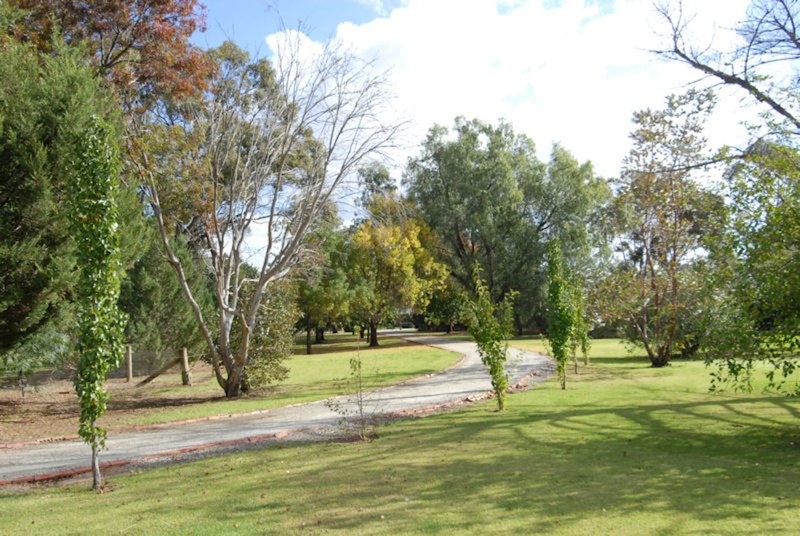 Photo - 69 Cooinda Lane, Deniliquin NSW 2710 - Image 3