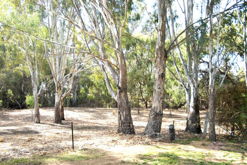 Photo - 69 Cooinda Lane, Deniliquin NSW 2710 - Image 11