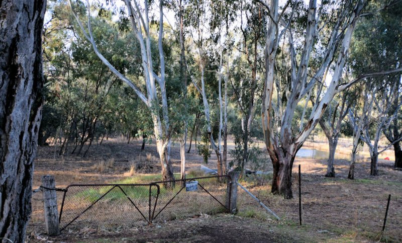 Photo - 69 Cooinda Lane, Deniliquin NSW 2710 - Image 12