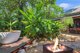 Photo - 69 Copeland Crescent, Nakara NT 0810 - Image 5