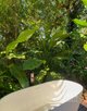 Photo - 69 Copeland Crescent, Nakara NT 0810 - Image 18