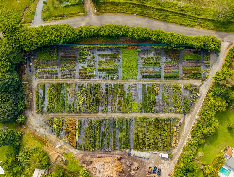 Photo - 69 Currey Road, Wongawallan QLD 4210 - Image 3