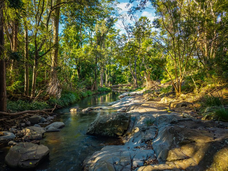 Photo - 69 Currey Road, Wongawallan QLD 4210 - Image 5