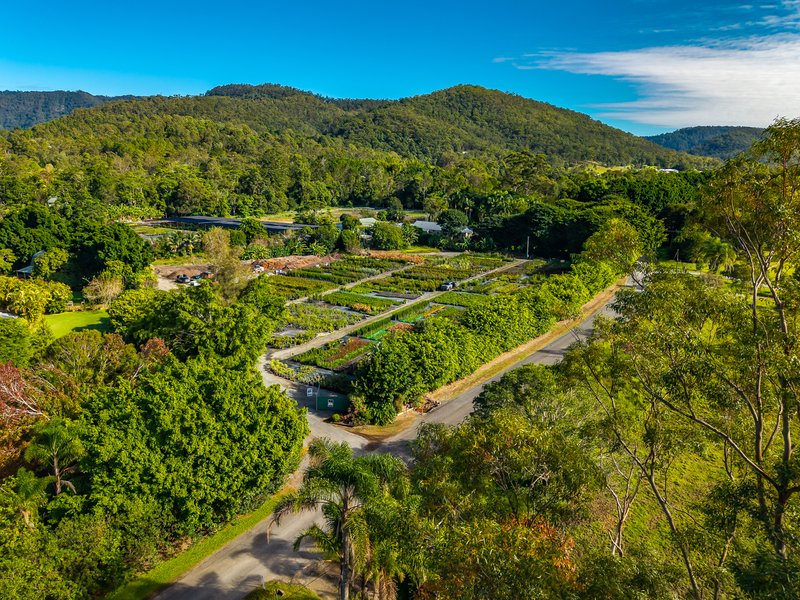 Photo - 69 Currey Road, Wongawallan QLD 4210 - Image 8