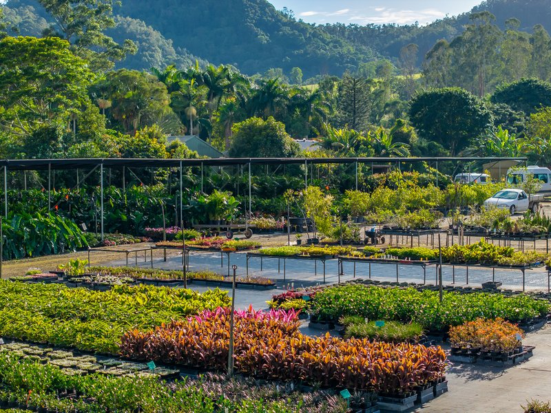 Photo - 69 Currey Road, Wongawallan QLD 4210 - Image 9