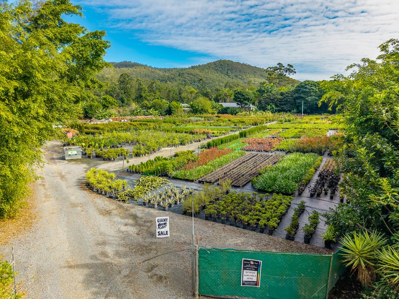 Photo - 69 Currey Road, Wongawallan QLD 4210 - Image 10