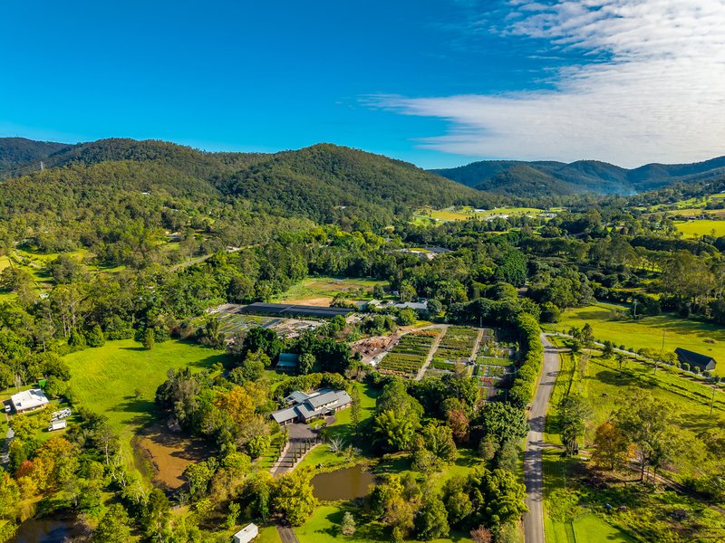 Photo - 69 Currey Road, Wongawallan QLD 4210 - Image 13