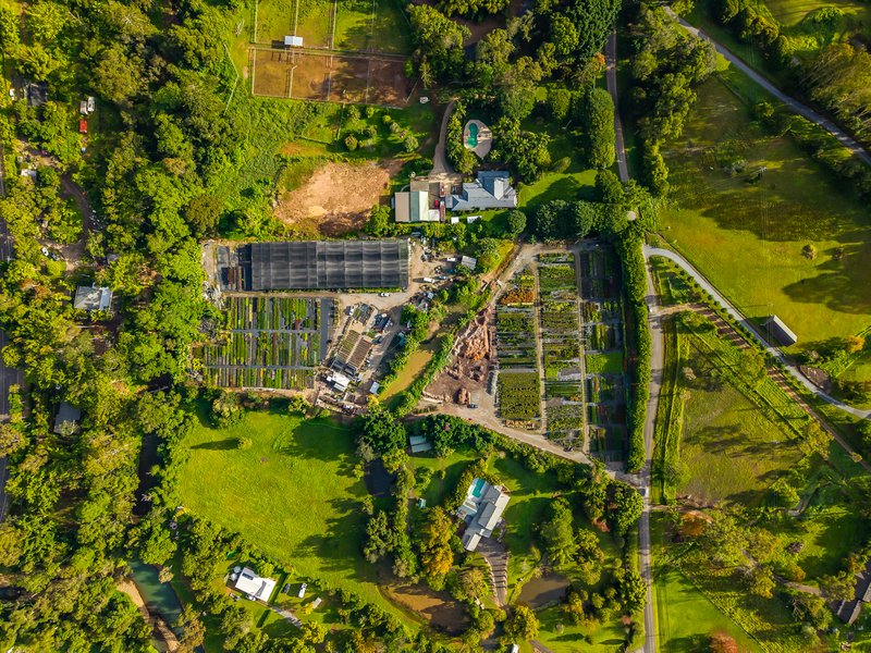 Photo - 69 Currey Road, Wongawallan QLD 4210 - Image 14